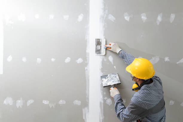 Best Mold Damage Restoration  in Fort Ashby, WV