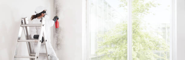 Best Comprehensive Air Testing for Mold Contaminants  in Fort Ashby, WV