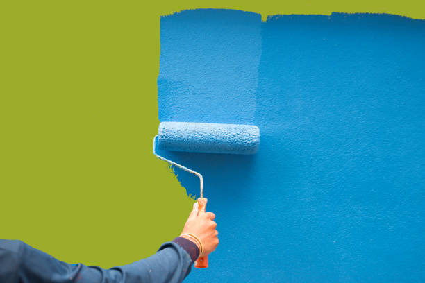 Best Mold Odor Removal Services  in Fort Ashby, WV